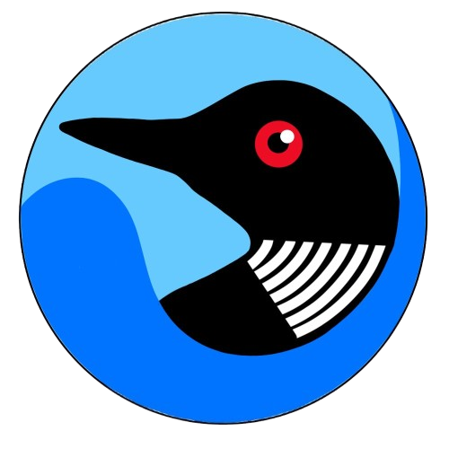 A loon
