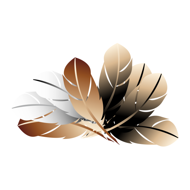 A group of feathers
